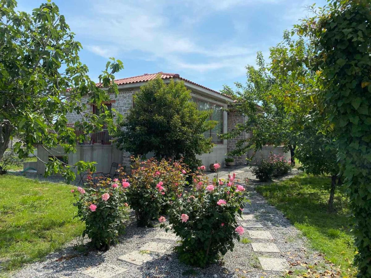 טריקלה Kampus Luxury Villas מראה חיצוני תמונה