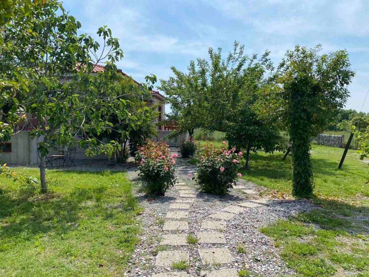 טריקלה Kampus Luxury Villas מראה חיצוני תמונה