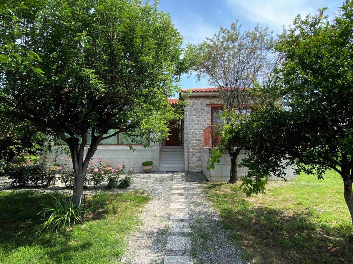 טריקלה Kampus Luxury Villas מראה חיצוני תמונה